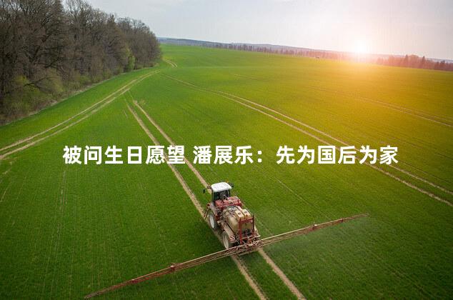 被问生日愿望 潘展乐：先为国后为家